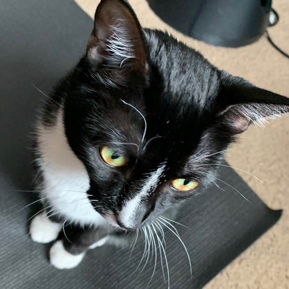 Meet your Posher, Jessica - Picture 2 of 4